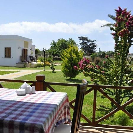 Villa Lembos Hotel Karpaz Rizokarpaso エクステリア 写真